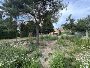 Prodej bytu 3+kk, Česká, 74 m2