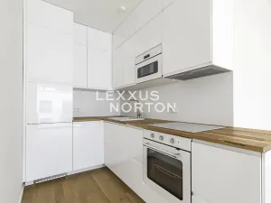 Pronájem bytu 2+kk, Praha - Holešovice, U průhonu, 52 m2