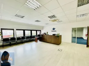 Pronájem kanceláře, Praha - Hradčany, Milady Horákové, 190 m2