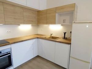 Pronájem bytu 2+kk, Plzeň - Jižní Předměstí, Nemocniční, 49 m2
