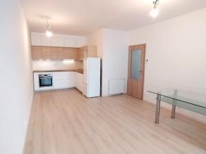 Pronájem bytu 2+kk, Plzeň - Jižní Předměstí, Nemocniční, 49 m2