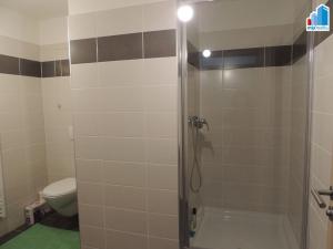 Pronájem bytu 2+kk, Plzeň - Jižní Předměstí, Nemocniční, 49 m2