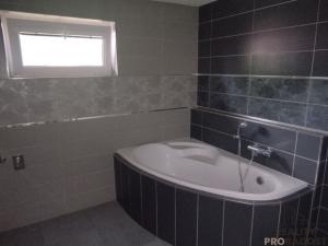 Prodej rodinného domu, Přílepy, 255 m2