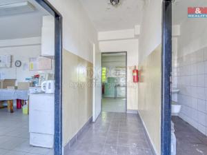 Pronájem garáže, Nepomuk - Dvorec, 378 m2