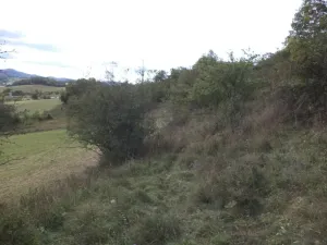 Dražba louky, Řehlovice, 22441 m2