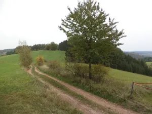 Dražba pozemku, Lázně Bělohrad, 2376 m2