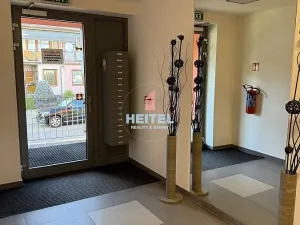 Prodej bytu 2+kk, Slavkov u Brna, Zelnice II, 47 m2