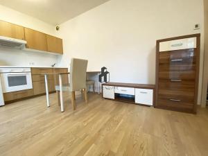 Pronájem bytu 1+kk, Praha - Žižkov, Olšanská, 35 m2