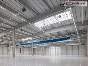 Pronájem výrobních prostor, Ostrava - Kunčičky, Rajnochova, 34895 m2
