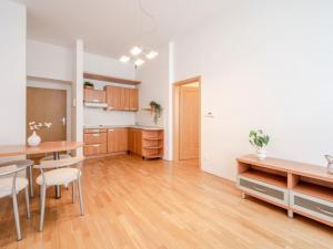 Prodej bytu 2+kk, Praha - Nové Město, Opatovická, 36 m2