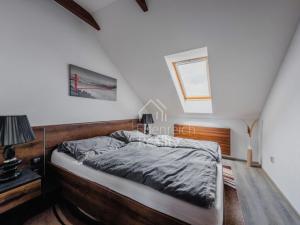 Pronájem bytu 2+kk, Hradec Králové, Okružní, 57 m2