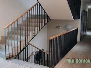 Pronájem bytu 2+kk, Praha - Strašnice, Mrštíkova, 52 m2