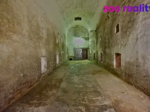 Prodej vinného sklepa, Libějovice, 1065 m2