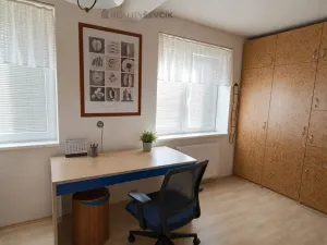Prodej rodinného domu, Hluboká nad Vltavou, Mánesova, 338 m2