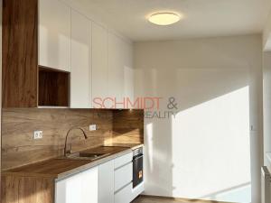 Pronájem bytu 1+kk, Hustopeče, Alejní, 30 m2
