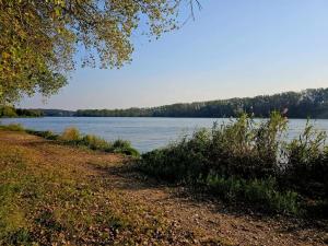 Prodej pozemku pro bydlení, Tuchlovice - Srby, 543 m2