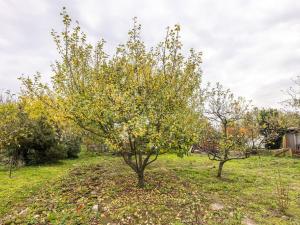 Prodej zahrady, Plzeň - Doubravka, 379 m2