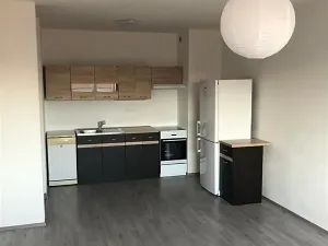 Pronájem bytu 2+kk, Plzeň, Poděbradova, 58 m2