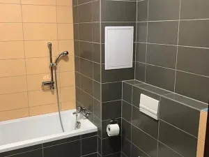 Pronájem bytu 2+kk, Plzeň, Poděbradova, 58 m2