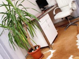 Pronájem bytu 3+kk, Praha - Vinohrady, Korunní, 80 m2