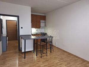 Pronájem bytu 2+kk, Olomouc - Nová Ulice, Kmochova, 53 m2