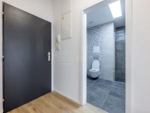 Pronájem bytu 2+kk, Plzeň, 51 m2