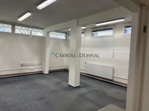 Pronájem skladu, Brno - Lesná, Loosova, 38 m2