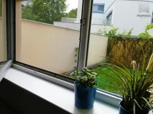 Pronájem bytu 3+kk, Brno, Vídeňská, 67 m2