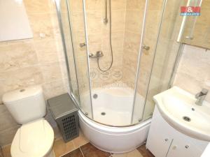 Pronájem bytu 1+1, Ostrava - Výškovice, Jičínská, 30 m2