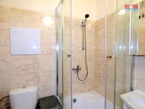 Pronájem bytu 1+1, Ostrava - Výškovice, Jičínská, 30 m2