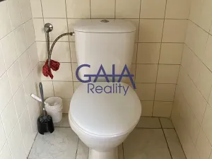 Prodej rodinného domu, Dražůvky, 230 m2