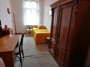 Prodej rodinného domu, Znojmo, Palackého, 280 m2