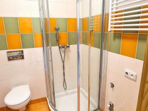 Pronájem bytu 1+kk, Brno, Božetěchova, 23 m2