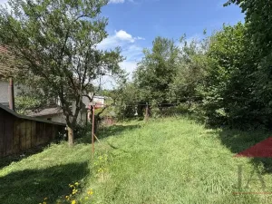 Prodej rodinného domu, Petrovice u Sušice - Františkova Ves, 365 m2