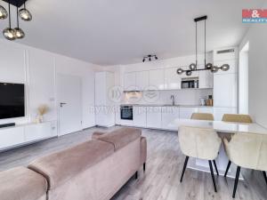 Pronájem bytu 2+kk, Plzeň, Měděná, 90 m2