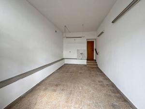 Pronájem skladu, Plzeň - Skvrňany, Domažlická, 20 m2