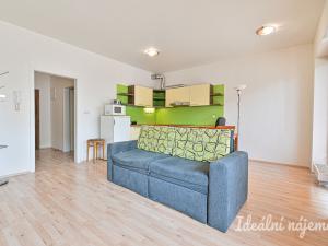 Pronájem bytu 1+kk, Brno - Slatina, Kigginsova, 40 m2