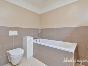 Pronájem bytu 1+kk, Brno - Slatina, Kigginsova, 40 m2