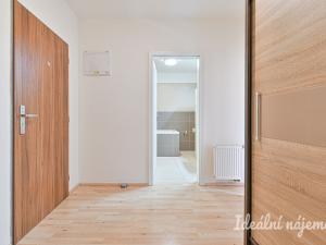 Pronájem bytu 1+kk, Brno - Slatina, Kigginsova, 40 m2