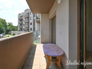 Pronájem bytu 1+kk, Brno - Slatina, Kigginsova, 40 m2