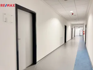 Pronájem kanceláře, Písek - Pražské Předměstí, Vladislavova, 40 m2
