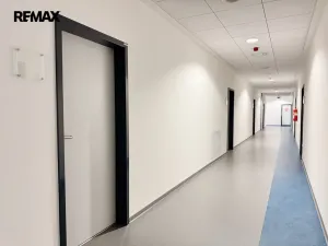 Pronájem kanceláře, Písek - Pražské Předměstí, Vladislavova, 40 m2