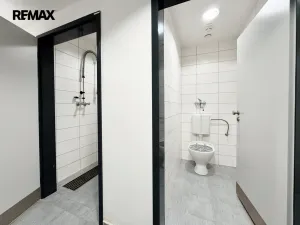 Pronájem restaurace, Písek - Pražské Předměstí, Vladislavova, 362 m2