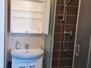 Pronájem bytu 2+1, Plzeň, Sokolovská, 67 m2