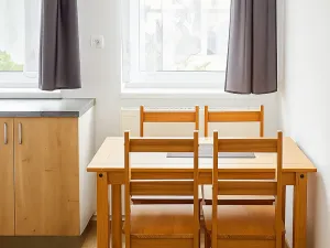 Pronájem bytu 1+1, Zdíkov, 39 m2