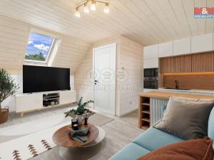 Prodej ubytování, Ostružno, 245 m2