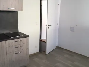 Pronájem bytu 1+kk, Brno, Tomáškova, 19 m2