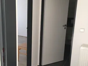 Pronájem bytu 1+kk, Brno, Tomáškova, 19 m2