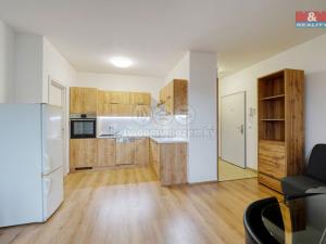 Pronájem bytu 2+kk, Zbůch, Brigádnická, 46 m2