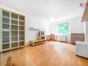 Pronájem bytu 1+1, Praskolesy, 30 m2